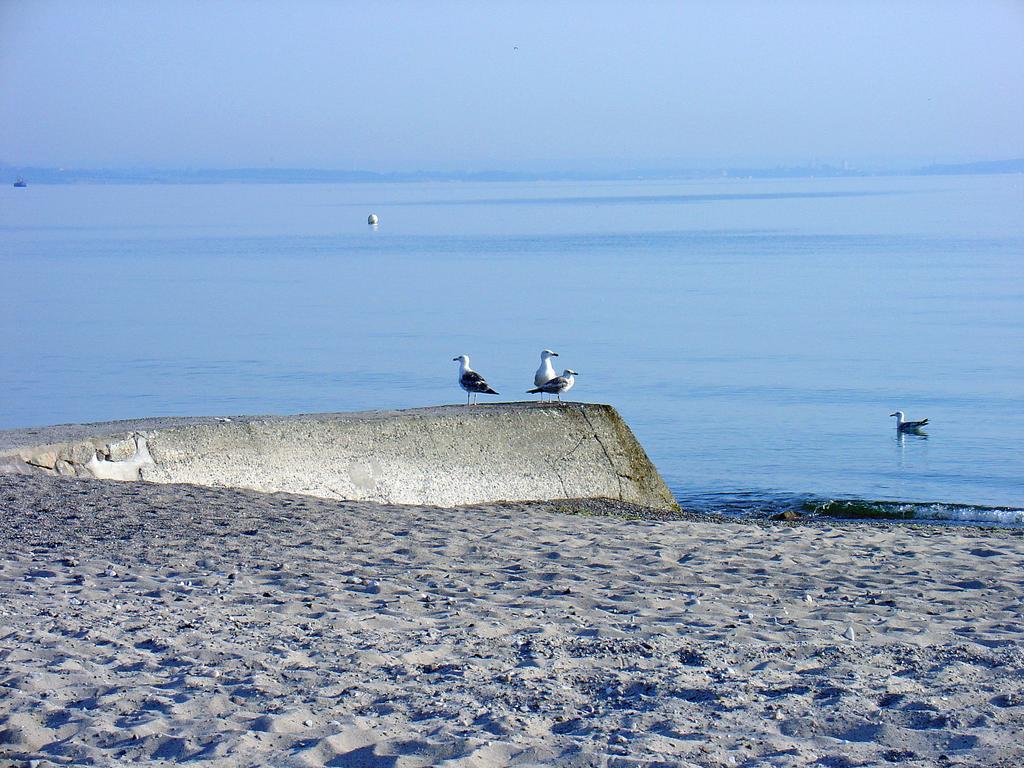 Fewo Machedanz Am Hafen Timmendorfer Strand Ot Niendorf Dış mekan fotoğraf